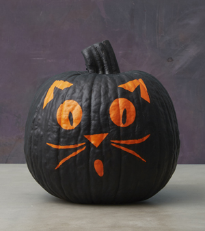 Download Creative Fun Halloween Cat Pumpkins Jack O Lanterns Meow As Fluff