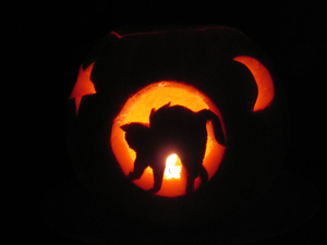 Halloween Cat Pumpkins Jack-o-lanterns