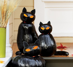 Halloween Cat Pumpkins Jack-o-lanterns