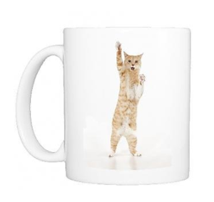 mugs ginger orange cats