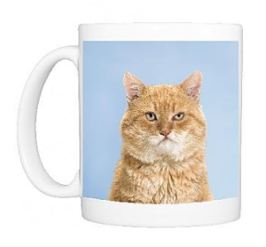 mugs ginger orange cats