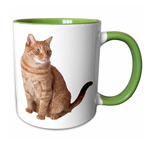 mugs ginger orange cats