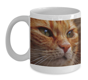 Mugs For People Who Love Ginger & Orange Cats! – Meow As Fluff