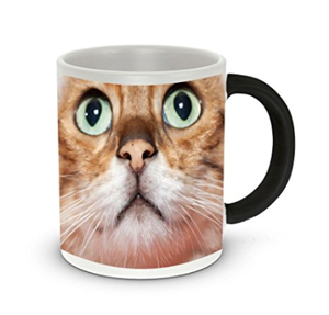 Mugs For People Who Love Ginger & Orange Cats! – Meow As Fluff