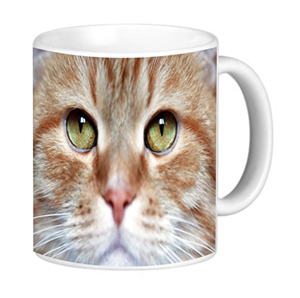 mugs ginger orange cats