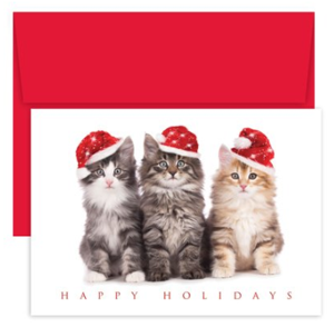 sets cat christmas cards