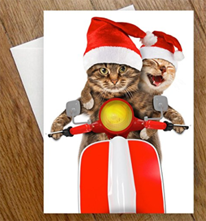 sets cat christmas cards