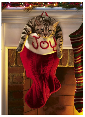 sets cat christmas cards