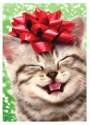 sets cat christmas cards