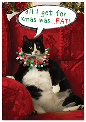 Sets Of Christmas Cards For Cat Lovers! – Meow As Fluff