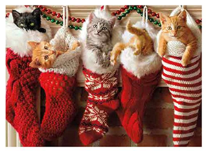 sets cat christmas cards