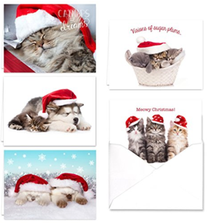 sets cat christmas cards