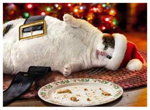 sets cat christmas cards