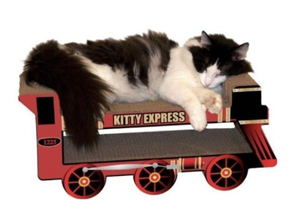 christmas cat houses scratchers tunnels beds caves