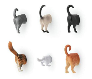 cat magnets