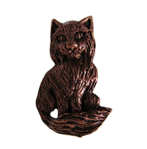 cat magnets