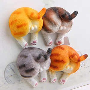 cat magnets