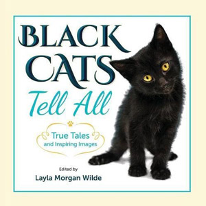 black cat gifts