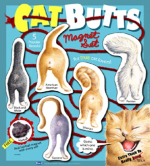 cat magnets