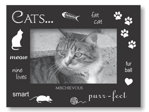 cat picture frames