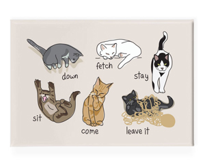 cat magnets