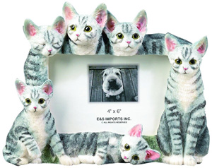 Cat Picture Frames