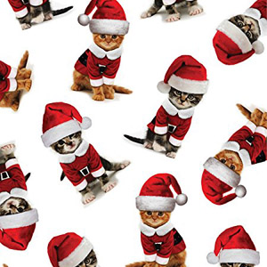 cat christmas wrapping paper