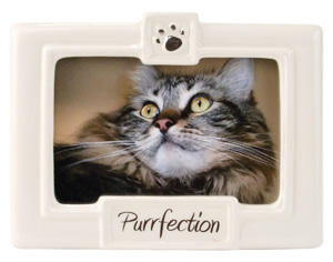 cat picture frames