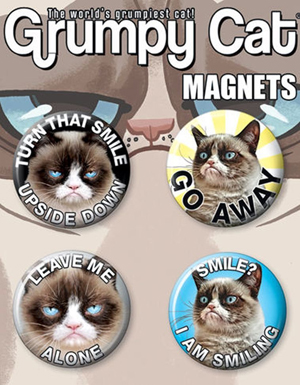 cat magnets