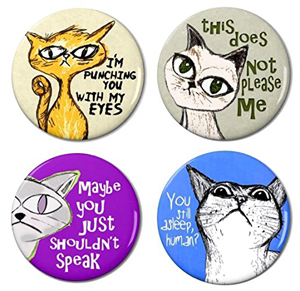 cat magnets