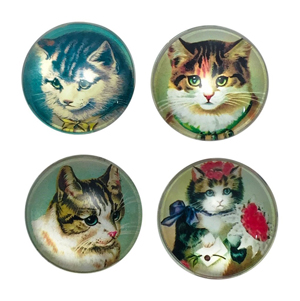cat magnets