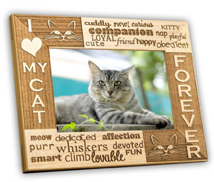 cat picture frames