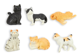cat magnets