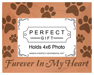 cat picture frames