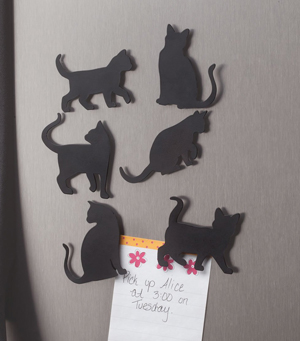 cat magnets