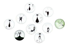 cat magnets