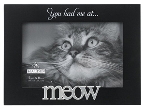 cat picture frames
