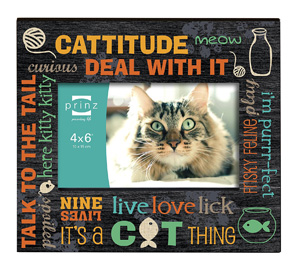 cat picture frames