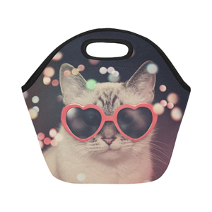 reusable cat lunch bags totes