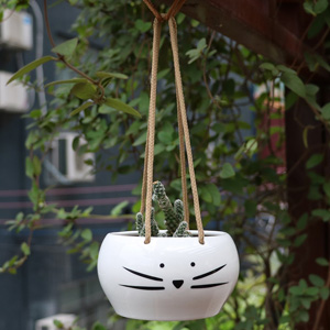 cat planters plant pots
