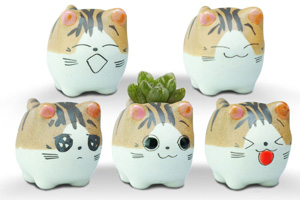 cat planters plant pots