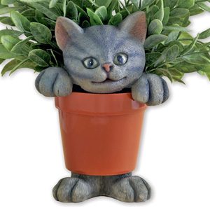 cat planters plant pots