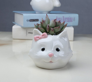 cat planters plant pots