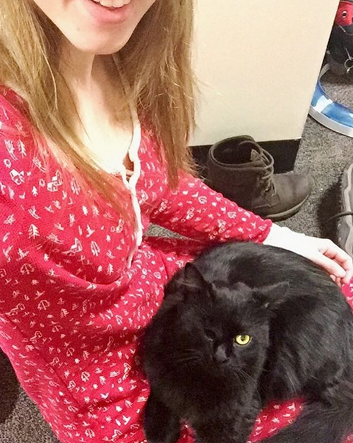 black one eyed emotional support cat