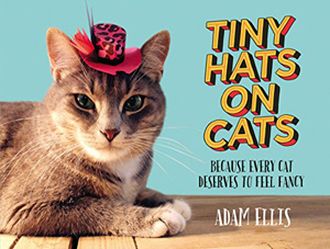 arts and craft cat books