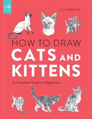 arts and craft cat books