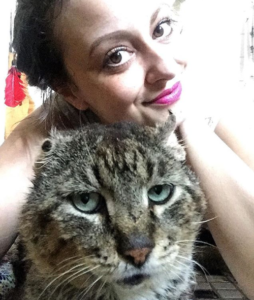 Meet The Handsome Former Street Cat With FIV Who Is Helping His Mom ...