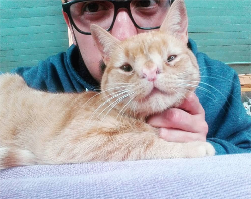 ginger female rescue cat with chromosomal abnormalities