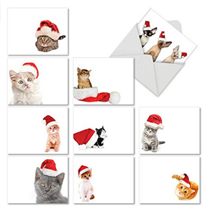set of cat christmas cards