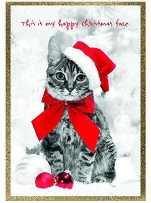 Fun And Festive Sets Of Kitty Christmas Cards For Cat Lovers! – Meow As Fluff